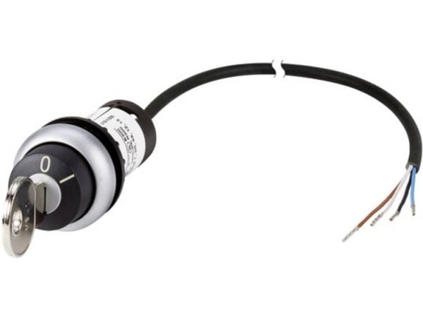 Eaton C22-WRS-MS1-K10-P62, Avain, Monivärinen, Muovi, 1 kpl