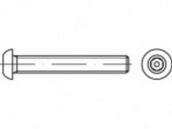 TOOLCRAFT TO-5380074 Sikkerhedsskruer M12 25 mm Indvendig sekskant med stift 88113 Rustfrit stål A2 500 stk Rustfrit stål A2 500 stk