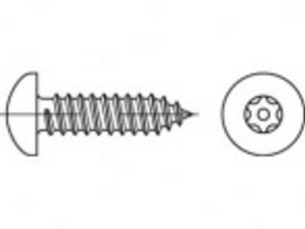 TOOLCRAFT säkerhetsskruvar 3,5 mm x 16 mm invändig sexkant 88114 A2 rostfritt stål (100 st.)
