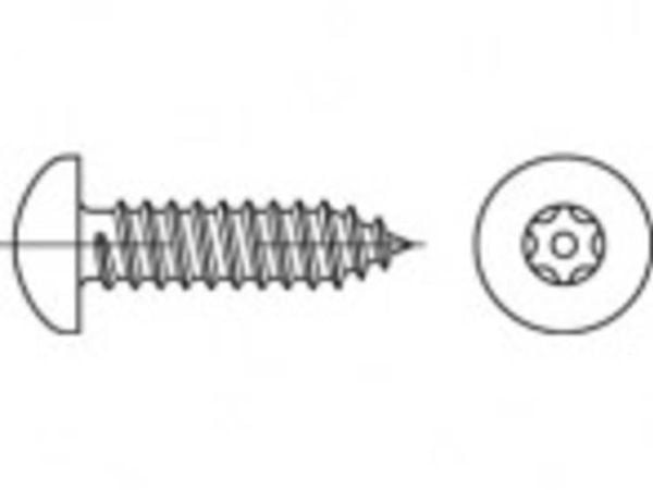 TOOLCRAFT säkerhetsskruvar TO-5380134 6,3 mm x 25 mm insex 88114 rostfritt stål A2 (100 st)