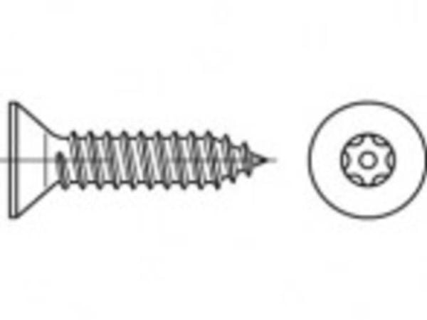 TOOLCRAFT sikkerhetsskruer 4,8 mm 16 mm innvendig sekskant 88115 rustfritt stål A2, 100 stk