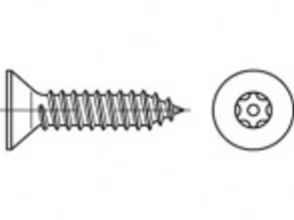 TOOLCRAFT sikkerhetsskruer 5,5 mm 16 mm innvendig sekskant 88115 rustfritt stål A2 100 stk
