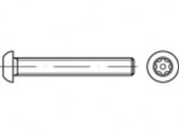 TOOLCRAFT TO-5380251 säkerhetsskruvar M8 60 mm invändig sexkant, 88116 rostfritt stål A2 - 100 st