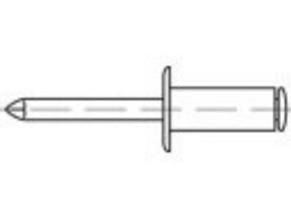 TOOLCRAFT TO-5381145 Blindnitter 6 mm Rustfrit stål 200 stk