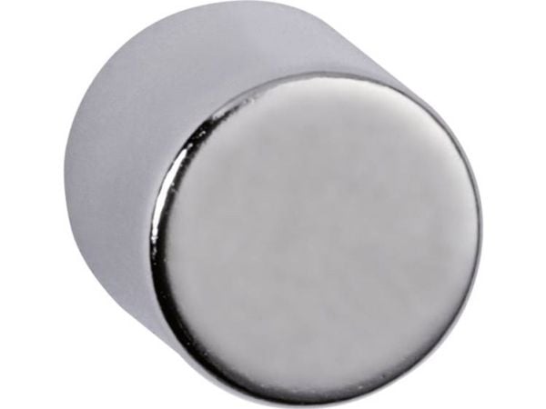 MAUL neodym sylindermagnet, 10 x 10 mm, nikkelholdekraft: 4 kg - 1 stk.