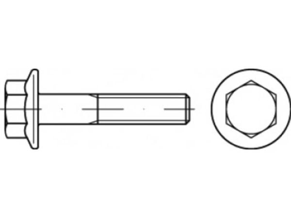 TOOLCRAFT TO-5391321 sekskantskrue M6 25 mm utvendig sekskant 500 stk