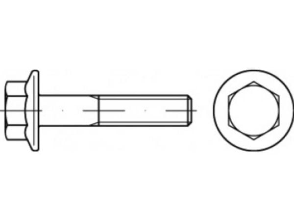 TOOLCRAFT TO-5391738 insexskruv M12 80 mm utvändig insex, stål galvaniserad, 50 st