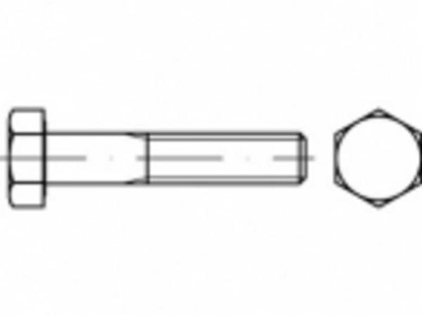 TOOLCRAFT TO-5397522 insexskruv M16 55 mm utvändig sexkant 50 st