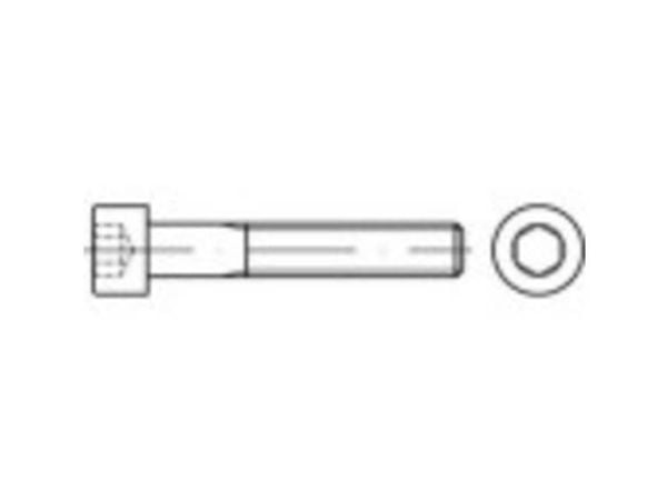 TOOLCRAFT TO-5419194 Cylinderskruer M4 20 mm Indvendig sekskant ISO 4762 Stål Galvaniseret 500 stk