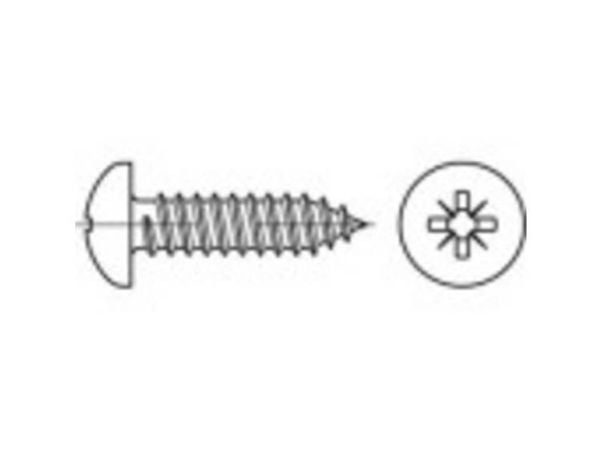 TOOLCRAFT TO-5432283 linseskruer 19 mm kryss Philips, stål, galvanisert, 1000 stk