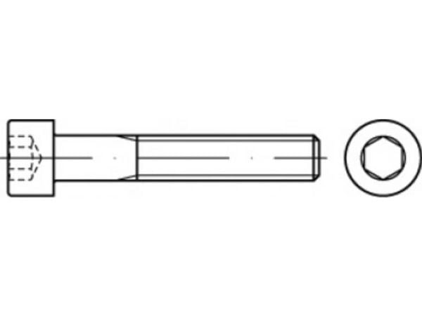 TOOLCRAFT cylinderskruvar 38 mm 51 mm insex invändig 83912 stål A5 100 st
