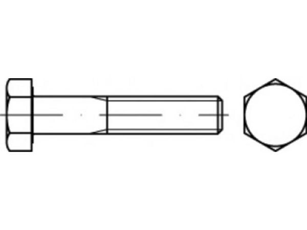 TO-5443107 sexkantsskruv 31 mm 45 mm utvändig sexkant 83931 stål förzinkad 100 st