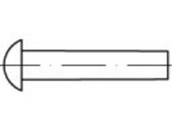 TOOLCRAFT TO-5448522 halvrunde nagler 4 mm 250 stk.