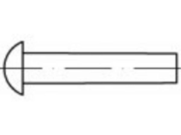 TOOLCRAFT TO-5448708 halvrund glidelås/rundnagler 4 mm 1000 stk