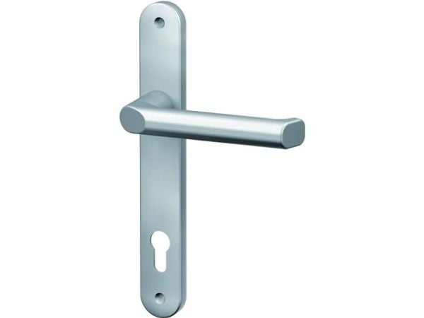 BASI 7831-0101, Käytäväoven kahva, Sisätila ja ulkotila, Hopea, Alumiini, 32 mm, 249 mm