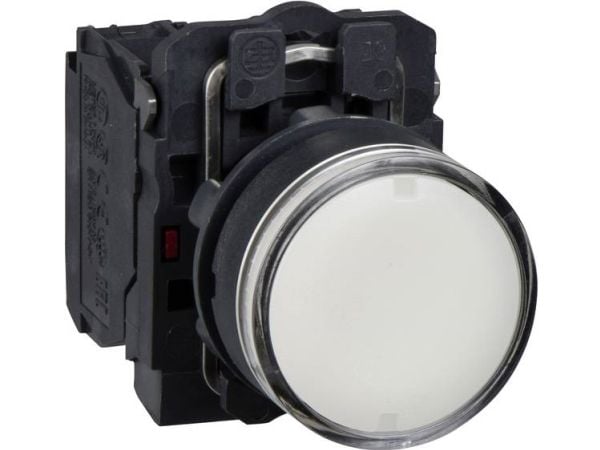 Schneider Electric XB5, Valkoinen, 24 V, 50 - 60 Hz, 10 A, 30 mm, 57 mm