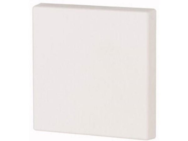 Eaton CWIZ-01/31, Rocker, Hvit, Plast, IP20, 55 mm, 55 mm