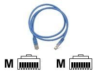DELTACO - Koblingskabel - RJ-45 (hann) til RJ-45 (hann) - 50 cm - UTP - CAT 6 - blå