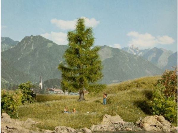 NOCH 21816, Grønn