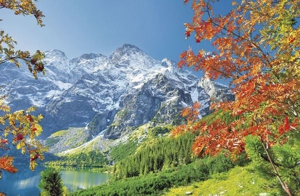calendar 2021 tripartite mip dolomites