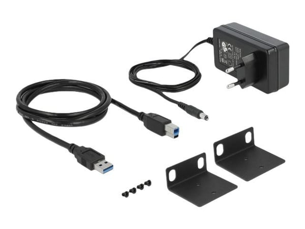 Delock - Hub - 13 x USB 3.1 Gen 1 - rackmonterbar