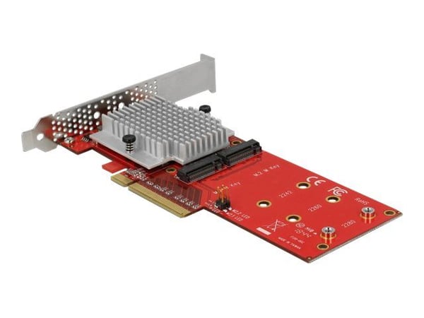 Delock PCI Express Card > 2 x internal M.2 - Grensesnittsadapter - M.2 Card - lav profil - PCIe 3.0 x8
