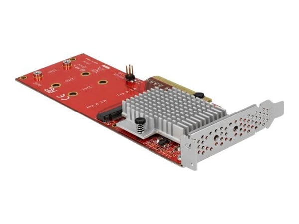 Delock PCI Express Card > 2 x internal M.2 - Grensesnittsadapter - M.2 Card - lav profil - PCIe 3.0 x8