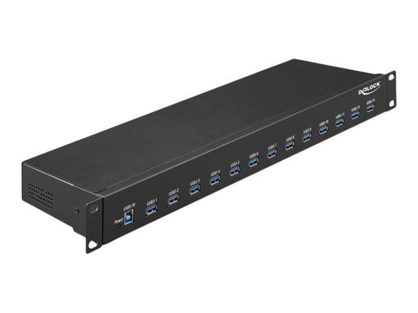 Delock - Hub - 13 x USB 3.1 Gen 1 - rackmonterbar