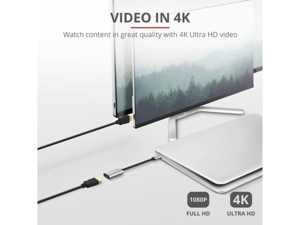 Trust Dalyx - Video adapter - HDMI hunn til 24 pin USB-C hann - 20 cm - 4K-støtte, 1080p-støtte