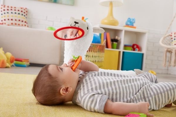 Fisher-Price GHJ03, Lelueläimet