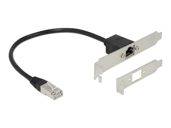 Delock - Nettverksforlengelseskabel - RJ-45 (hann) til RJ-45 (hunn) - 30 cm - uskjermet - CAT 5e