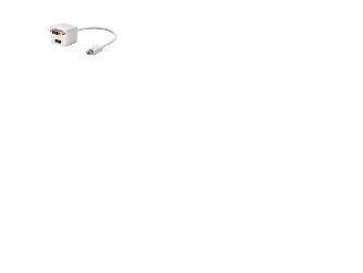 Lindy Mini-DVI to DVI/HDMI Splitter, 0,2 m, Mini-DVI, HDMI + DVI, Uros, Naaras, Valkoinen