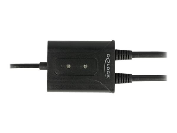 Delock USB 2.0 to 2 x serial RS-232 - Seriell adapter - USB 2.0 - RS-232 x 2