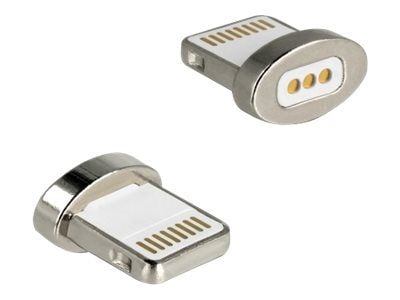 Delock - Lightning-adapter - terminal (magnet) till Lightning hane