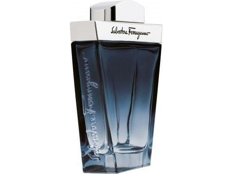 Salvatore Ferragamo Subtil pour Homme Eau De Toilette 100 ml (man)
