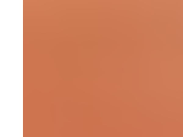 InLine 72533O, 0,3 m, Cat5e, SF/UTP (S-FTP), RJ-45, RJ-45, Orange