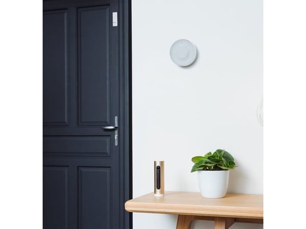 Netatmo NBU-ICSS-EU Welcome-pakke + brikker + sirene