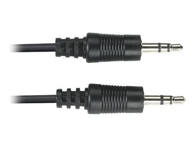 Black Box 3.5-mm - 3.5-mm, 10-ft, 3.5mm, Uros, 3.5mm, Uros, 3 m, Musta