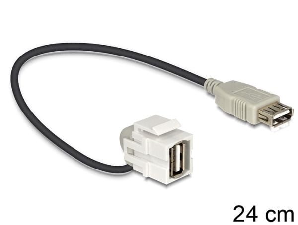 Delock - Modulinnlegg - USB Type A