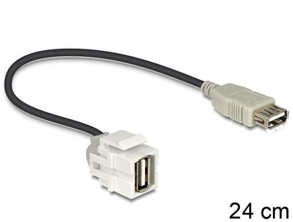 Delock - Modulär insättning - USB Type A