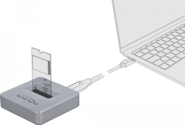 Delock M.2 Docking Station - Grensesnittsadapter - M.2 NVMe Card - USB 3.2 (Gen 2) - sølv