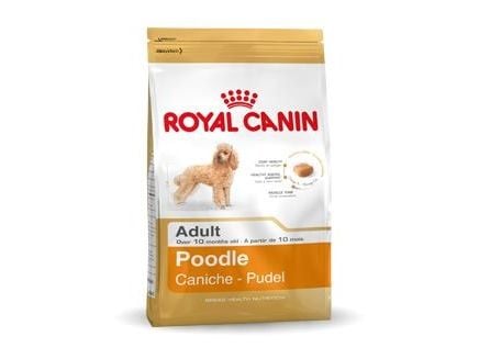 Royal Canin Poodle Adult 1,5 kg