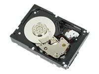 Dell Hot Plug - Harddisk - 300 GB - hot-swap - 2.5" - SAS 6Gb/s - 15000 rpm - for PowerEdge R620 (2.5"), T620 (2.5")