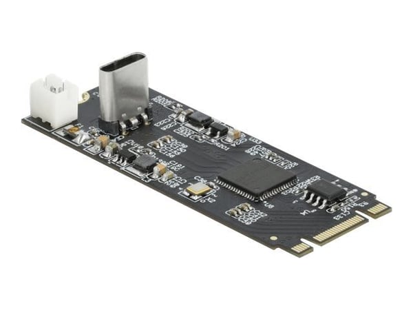 DeLOCK Converter M.2 Key B+M hanne til USB Type-C - grensesnittadapter - PCIe - 10 Gbit/s - USB 3.1 (Gen 2) (63174)