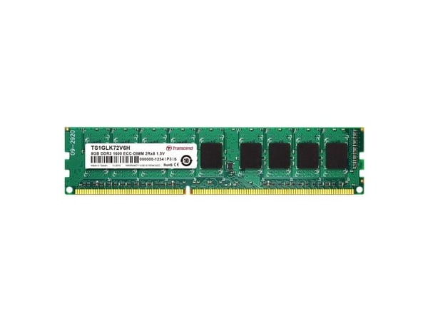 Transcend - DDR3 - modul - 8 GB - DIMM 240-pin - 1600 MHz / PC3-12800 - CL11 - 1.5 V - ikke-bufret - ECC