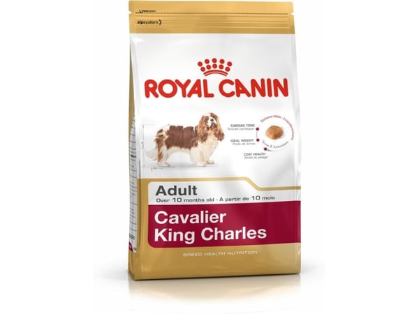 Royal Canin Cavalier King Charles Adult, Aikuinen, Cavalier kingcharlesinspanieli, 1,5 kg
