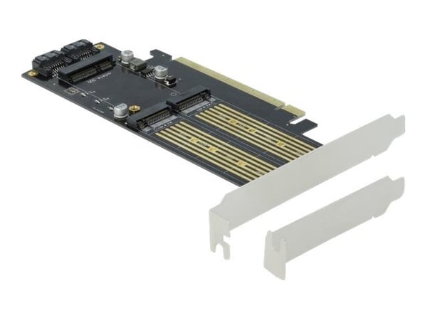 Delock - Diskkontroller - mSATA, M.2 - M.2 Card / mSATA - lav profil - SATA 6Gb/s, PCIe 4.0 x16