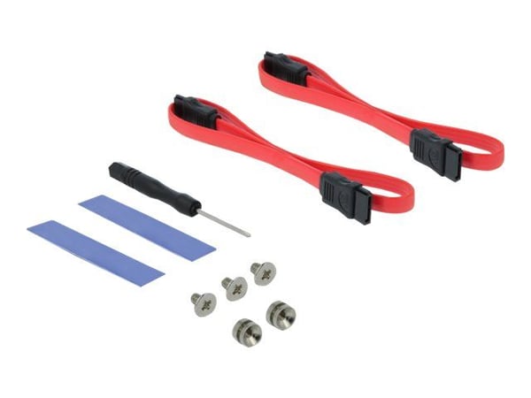 Delock - Diskkontroller - mSATA, M.2 - M.2 Card / mSATA - lav profil - SATA 6Gb/s, PCIe 4.0 x16