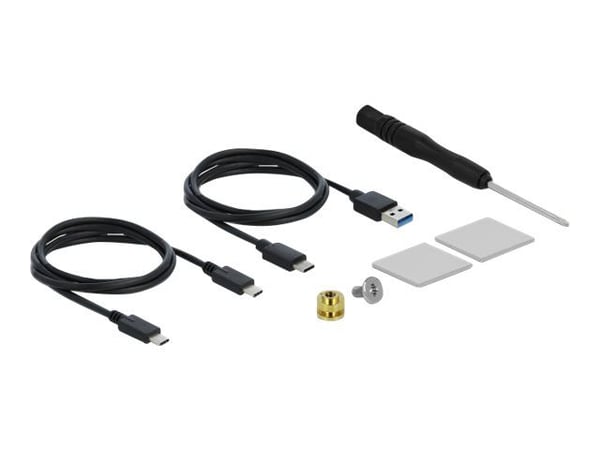 DeLOCK 42620, SSD-kotelo, M.2, M.2, 10 Gbit/s, USB-liitettävyys, Sininen