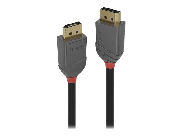 Lindy Anthra Line - DisplayPort-kabel - DisplayPort (hann) til DisplayPort (hann) - DisplayPort 1.2 - 10 m - rund, 4K-støtte - svart